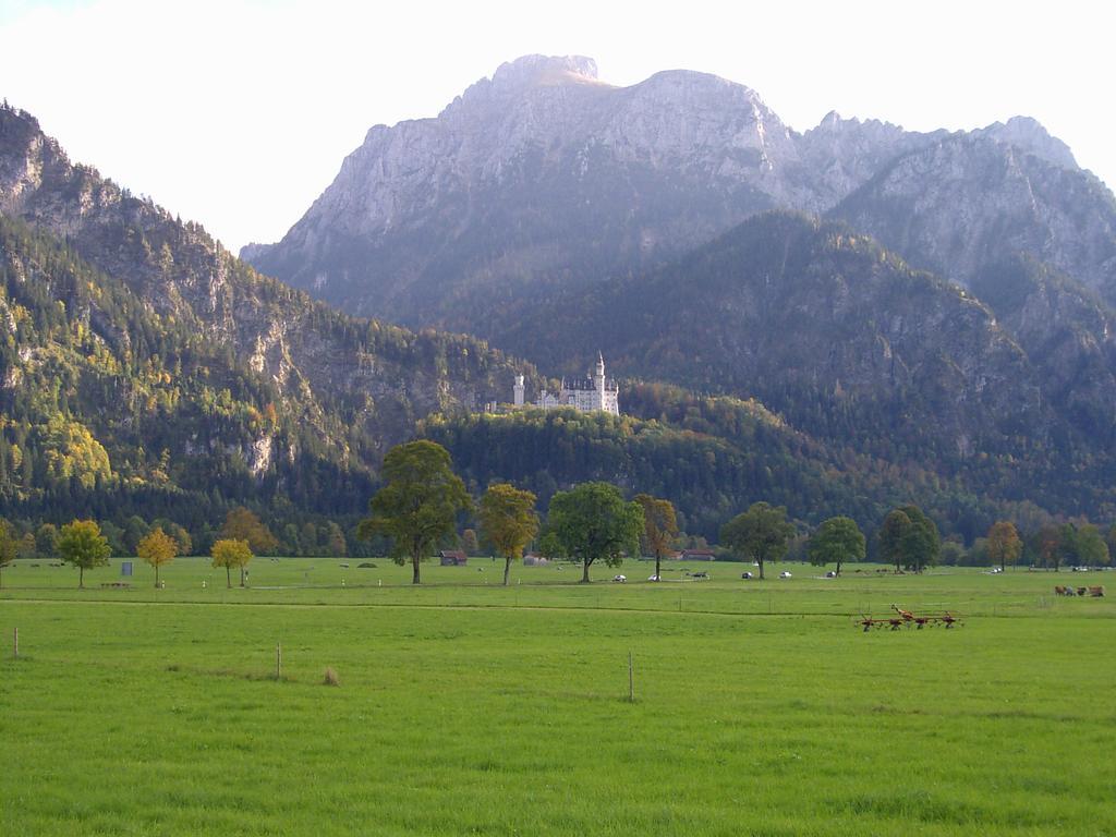 Lizzi Mountain Appartement *